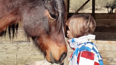 Centre équestre Les jardins d'Olia