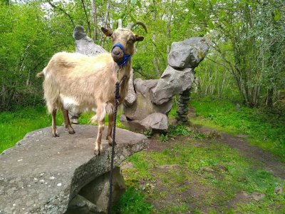 La Ferme de la Marinette - Visite ferme pédagogique