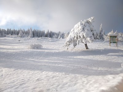 Piste de raquette verte de la Verrerie