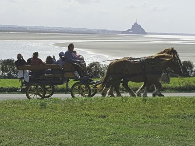 Victoire Equithérapie
