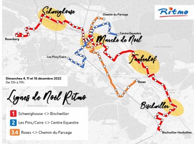 Circuit vélo à la découverte de la Forêt d'Exception®