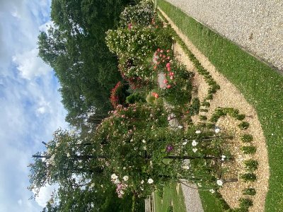 Parc et roseraie du Domaine de Chaalis