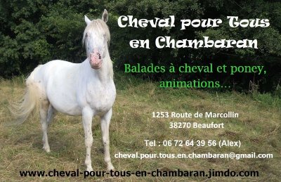 Cheval pour tous en Chambaran