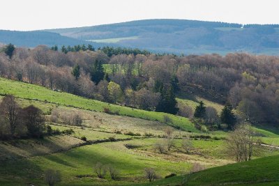 LE COL DE LA CROIX DU FAU