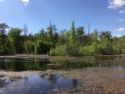 L’Espace Naturel Sensible : Sentier de la Salamandre