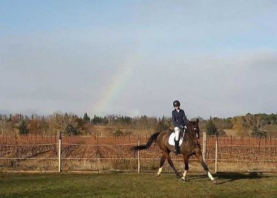 Centre équestre Les Ecuries du Basthel