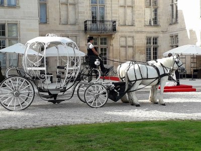 Les Attelages de Sacy