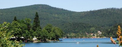La tourbière du Grand Etang