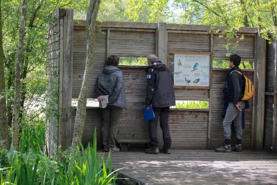 La vallée de l'Aure