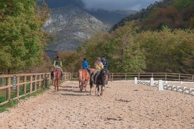 Les écuries du Montcalm