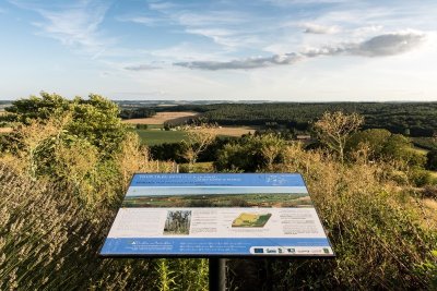 Tables d'interprétation des coteaux de Tourtrès