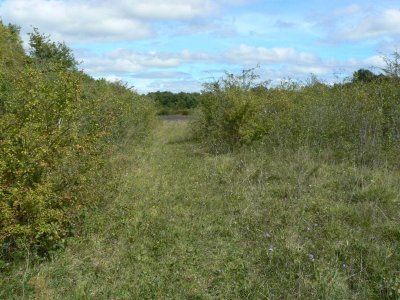 Espace naturel sensible des prairies de la Celle
