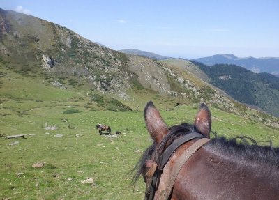 Les chevaux de la Spone
