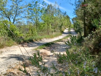 La bergerie de Peyruis par le Défens