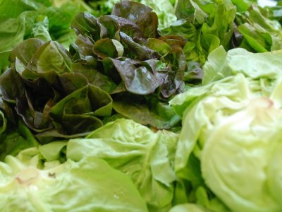 Histoire d'une Cité Maraîchère