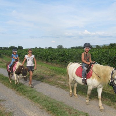 Centre équestre L'hippocampe