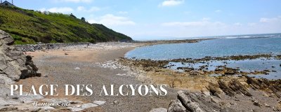Plage des Alcyons