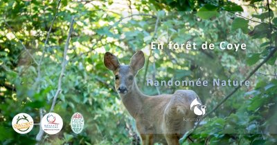 GR® 1 Tour d'Ile de France