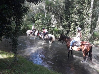 Somme Randonnées à Cheval