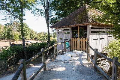 Espace Faune de la Forêt d’Orient