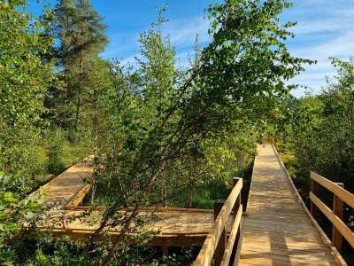 Randonnée - l'étang de la demoiselle