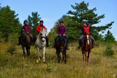 Centre Equestre de Lavant