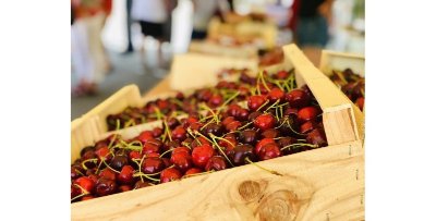 Boucle VAE - Circuit Terroir