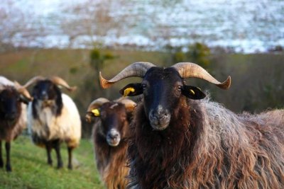 Visite de la ferme des cycles