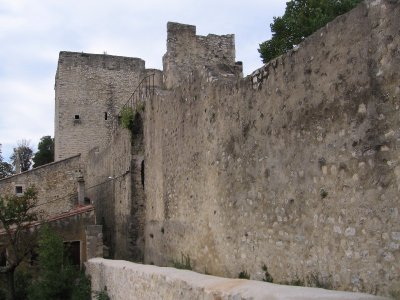 Château de Montélimar