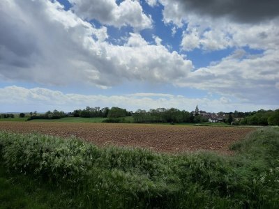 Des jardinets au bois Louvet