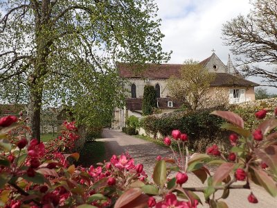 Le Chêne Saint-Jean