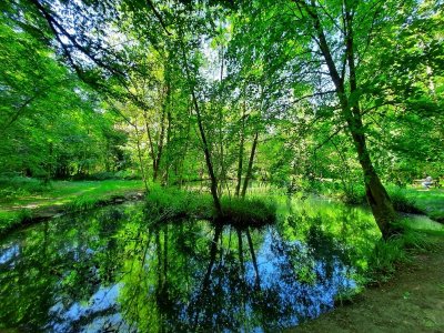 A la rencontre de Saint-Louis