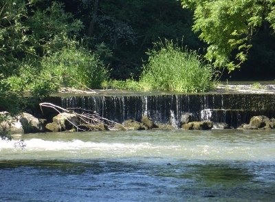 La rayère d'Alaincourt