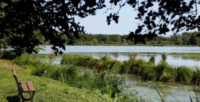Des marécages aux portes de la plaine