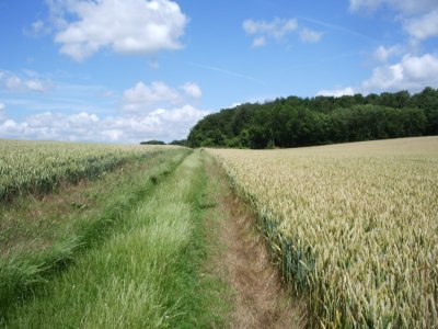 Le chemin de la Reine Blanche