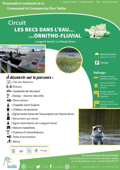 Les becs dans l'eau... ornitho-fluvial