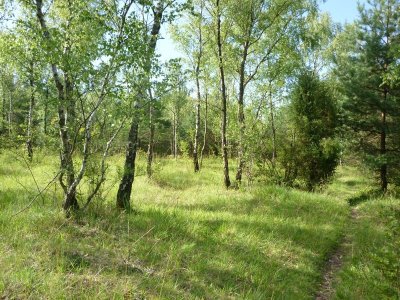 Sentier de la Gouverne Malade