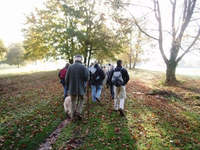 Le bois de Chapeaumont