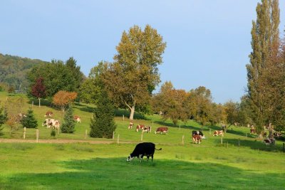La butte du Plain Châtel