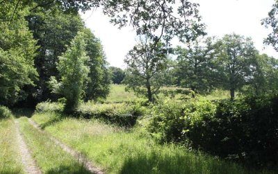 Le bocage de Mondrepuis