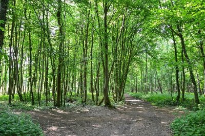Le parcours nature de Lévignen