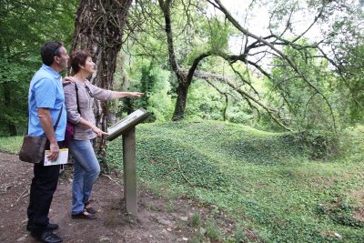 Le Chemin de Saint Rémi