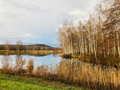 Le Parc des Bruyères