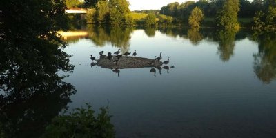Entre vignes et Marne