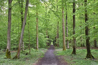 Le sentier de pirouette