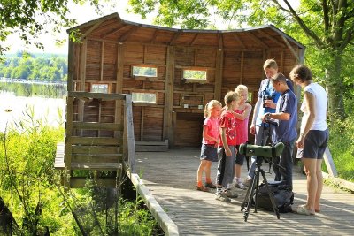 Avec les oiseaux de l'Ailette