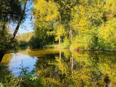 La rose sur la Marne