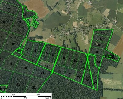 La forêt domaniale de Thelle