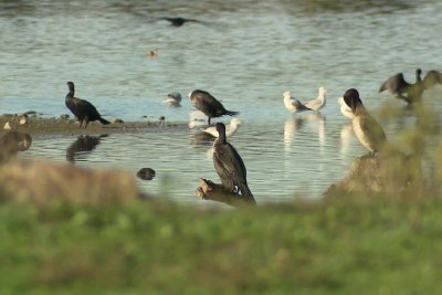 Le domaine de Careil