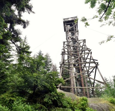 La tourbière du haut de Mérelle